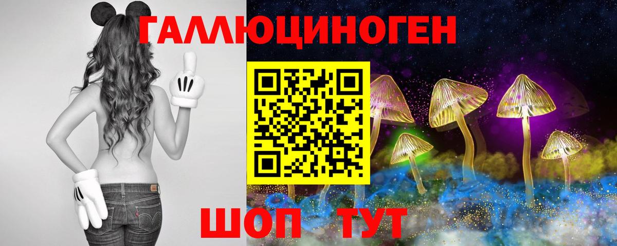 купить наркотики цена  Псилоцибиновые грибы Psilocybe  Сертолово  Вход с VPN  Галлюциногенные грибы ЛСД 