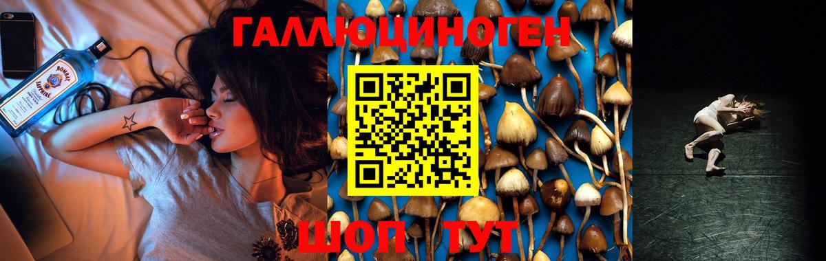 Псилоцибиновые грибы Psilocybine cubensis Сертолово